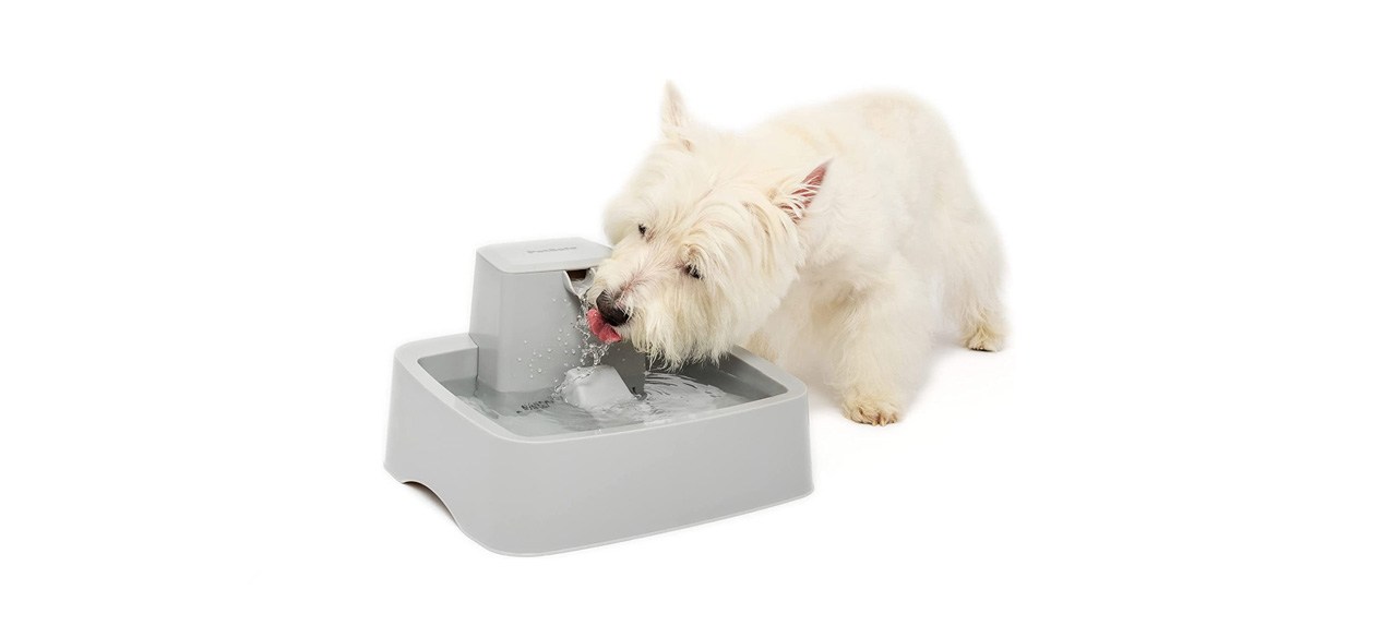 best PetSafe Drinkwell Pet Fountain