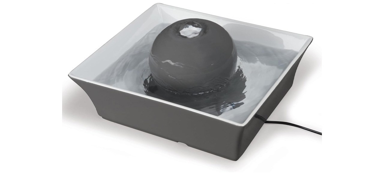 Keep your pets hydrated with the best pet fountain