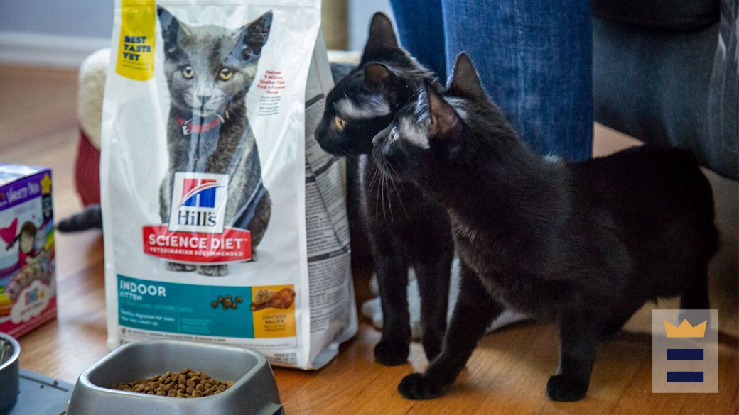 Best PetSmart cat food