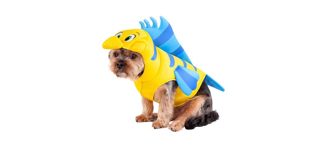 A dog wearing a Flounder costume