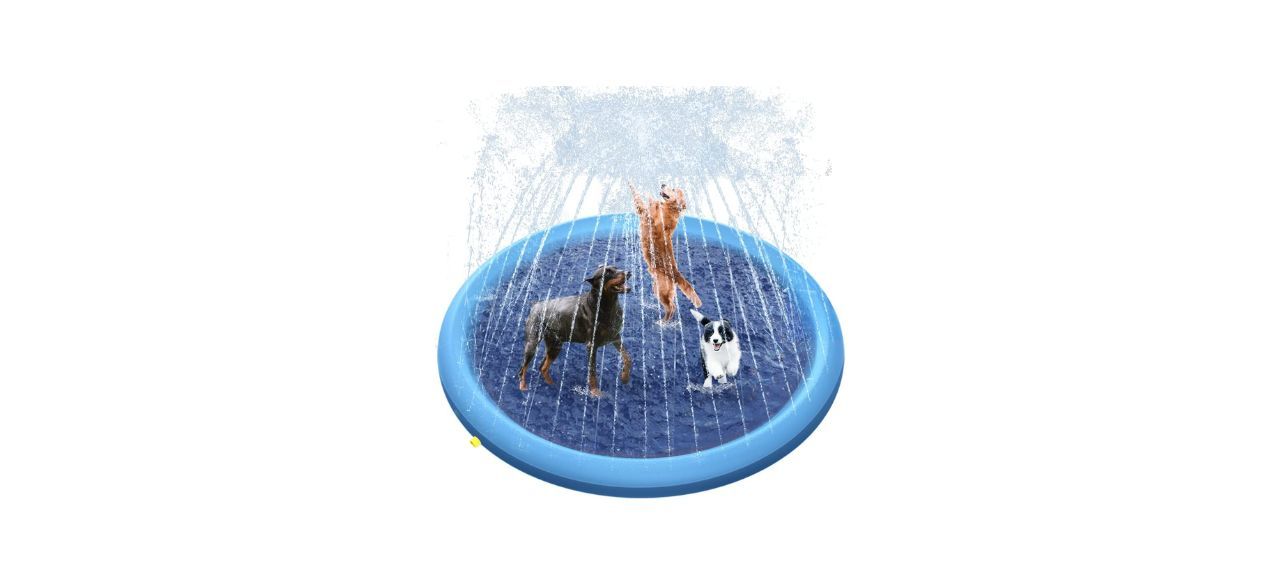 best Raxurt Antislip dog splash pad