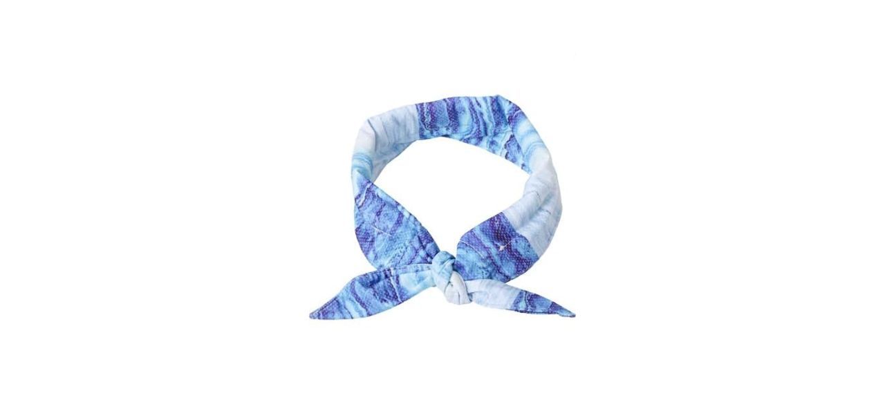 a blue cooling bandana for dogs