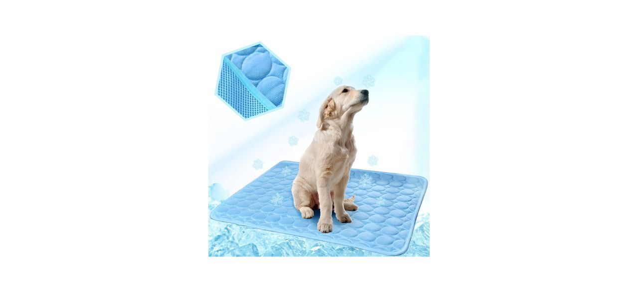 a dog sitting on a cooling mat