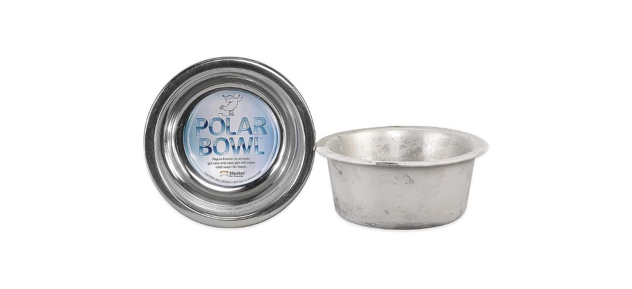 a metal dog bowl you can put in the freezer