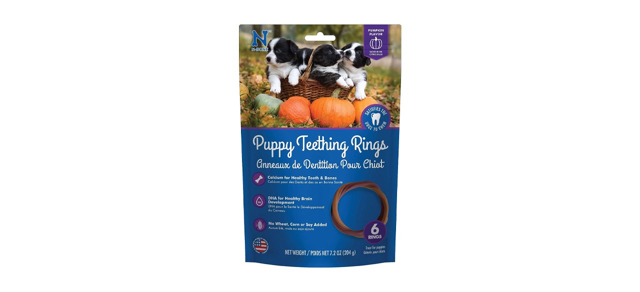 Best N-Bone Puppy Teething Ring Pumpkin Flavor