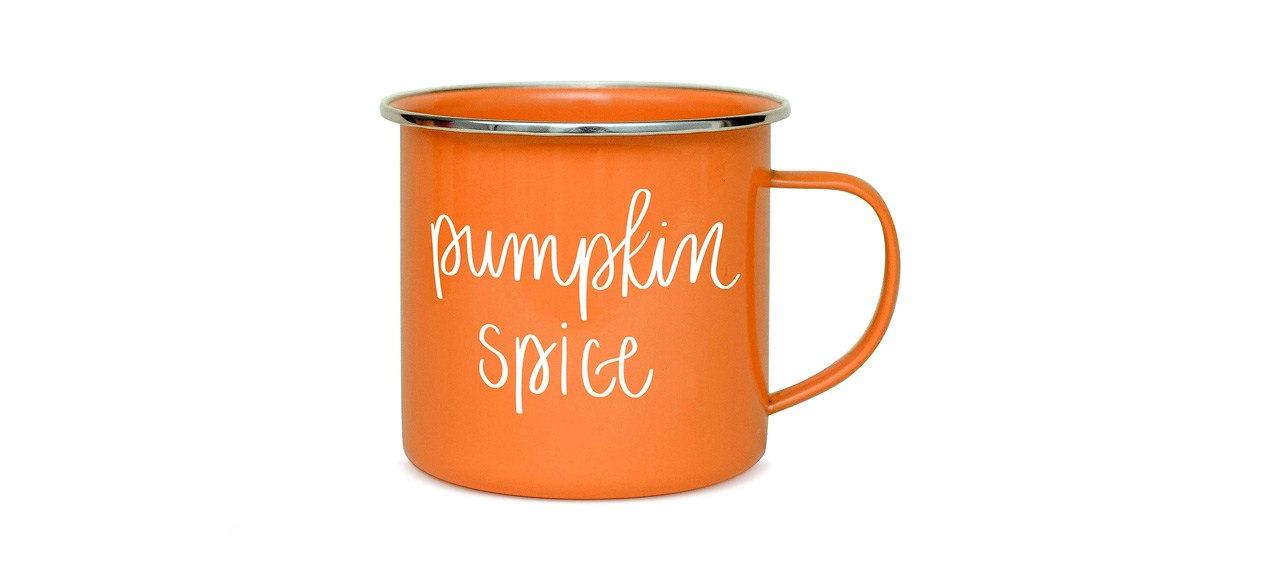 best pumpkin spice mug