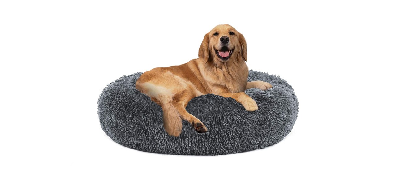 best Puppbudd Self-Warming Donut Cuddler Pet Bed