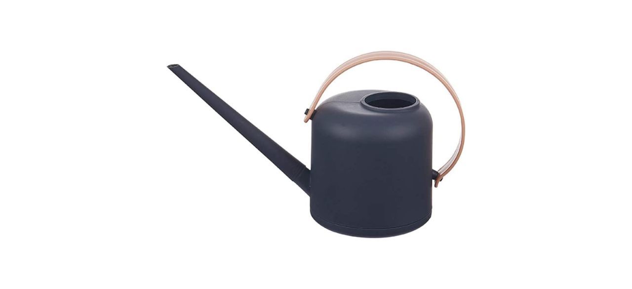 Best Remote Shutter Watering Can for Indoor Plants