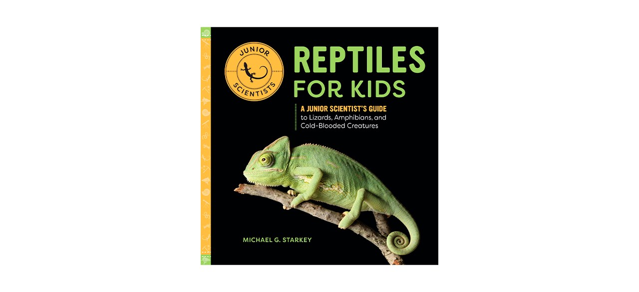 Best Reptiles for Kids- A Junior Scientist's Guide