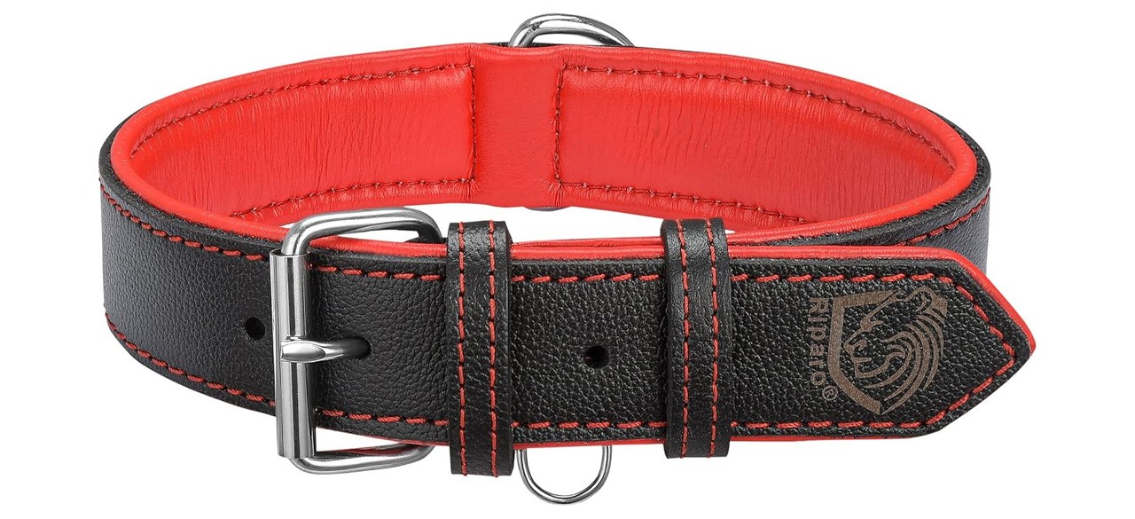 Riparo Genuine Leather Padded Dog Collar