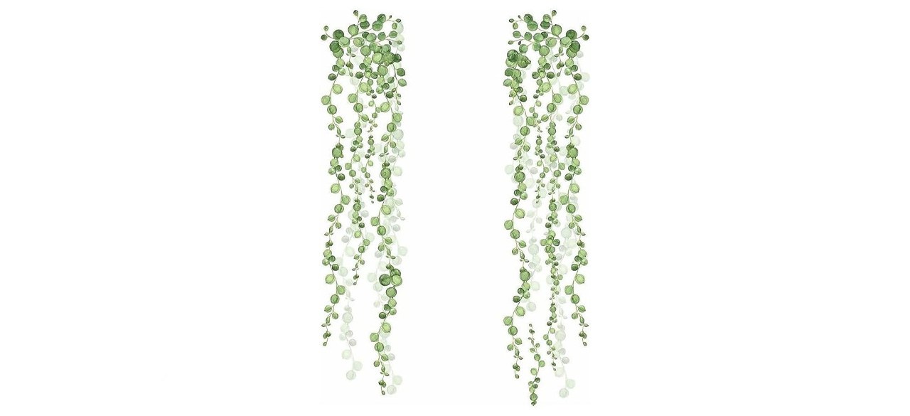peel and stick wall decals with vines on them