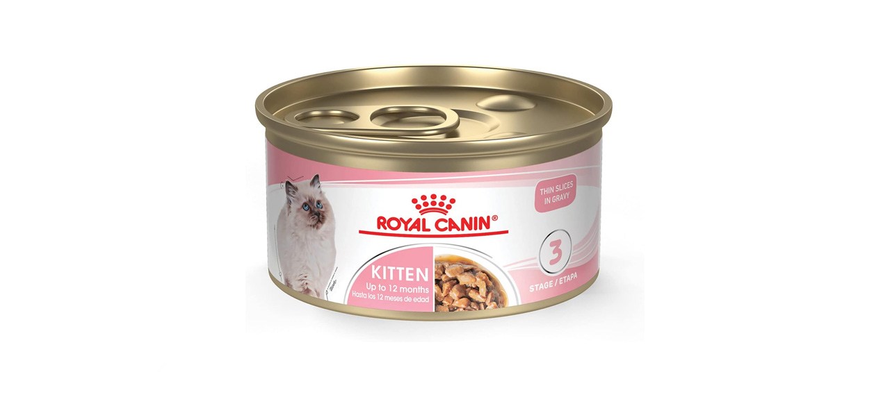 best Royal Canin Canned Kitten Food