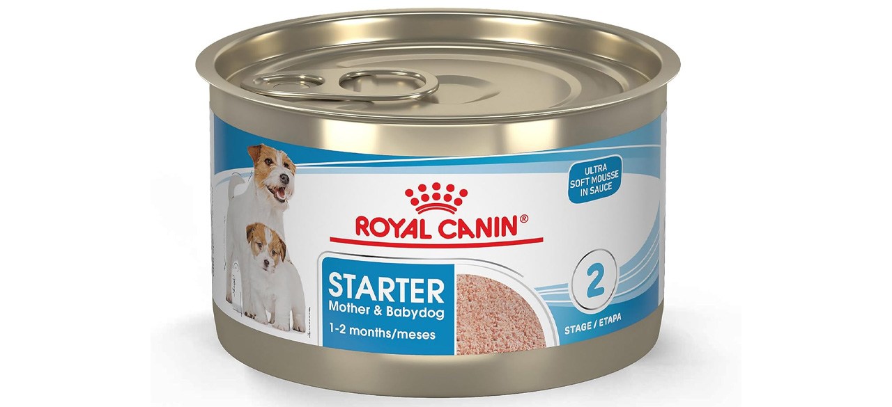 Royal Canin Starter for Mother and Babydog