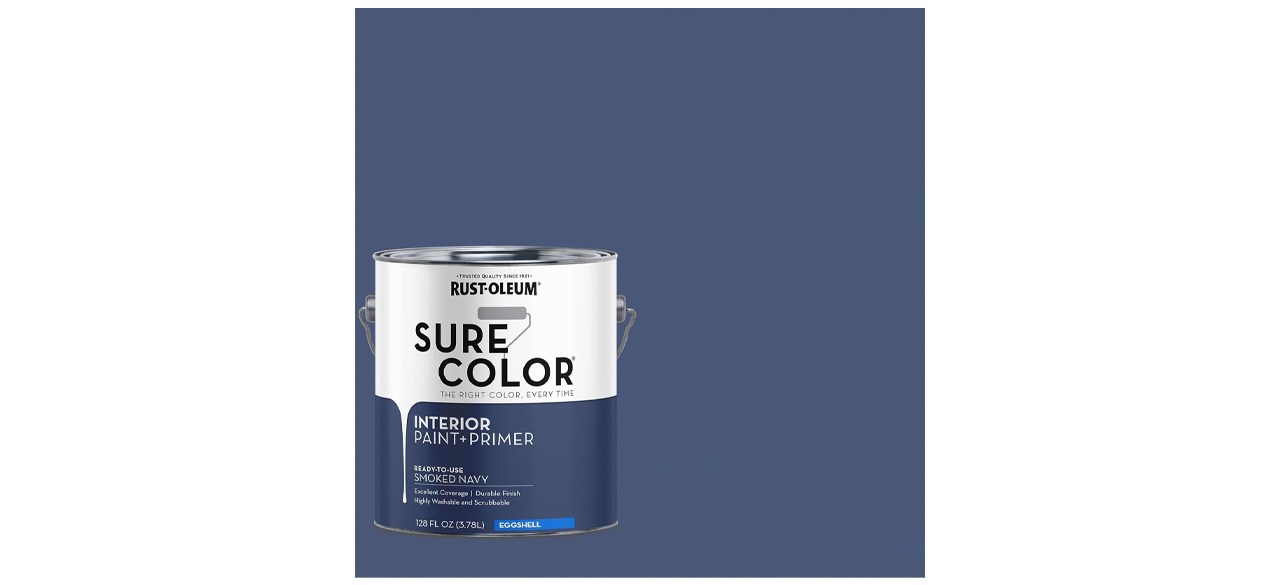 RUST-OLEUM Paint Wall in Smoked Navy