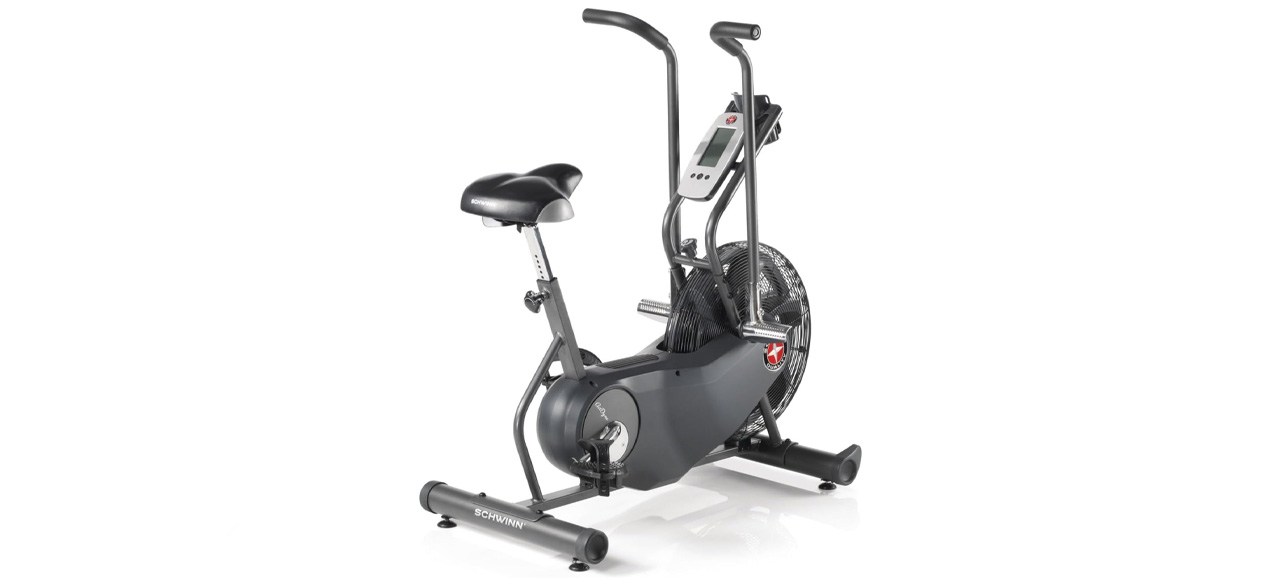 Schwinn Fitness AD Pro Airdyne