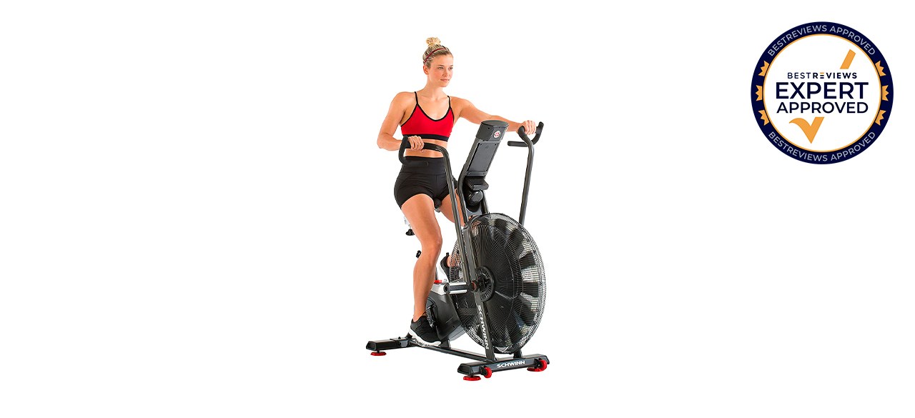 Best Schwinn Fitness Airdyne Bike