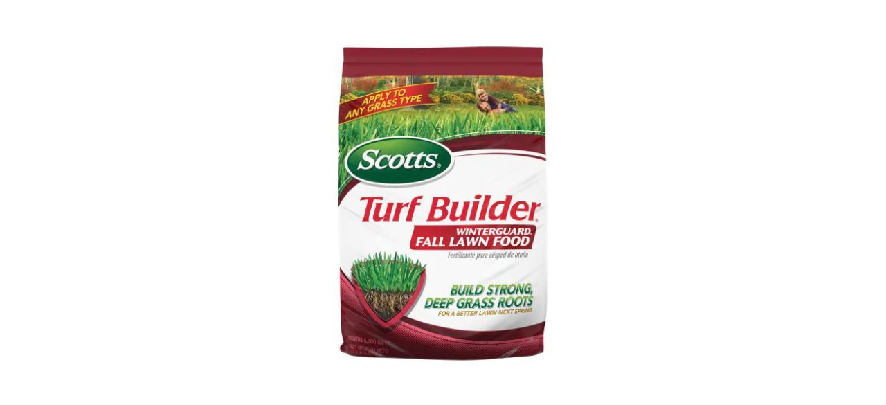 A white and red bag of fall lawn turf builder granules. Text says" build strong, deep grass roots" 