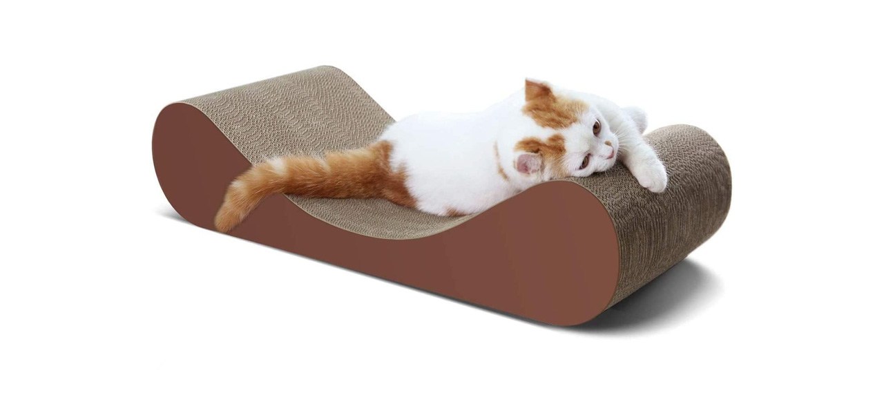 best FluffyDream ScratchMe Bone Cat Scratcher