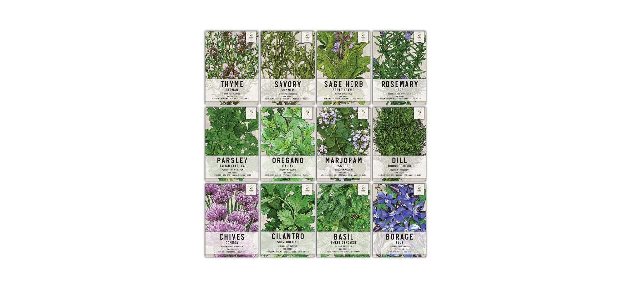 Best Seed Needs Culinary Herb Seed Packet Collection