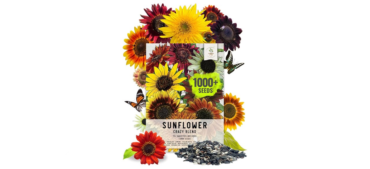 Seed needs sunflower seeds