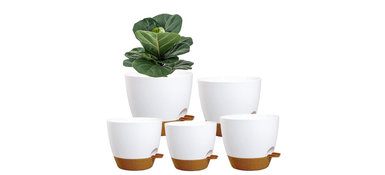 Five white planters of varying sizes with a green plant in one of them. 