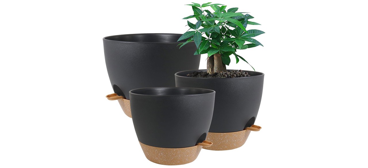 Three black planters of different sizes with a plant in one of them. 