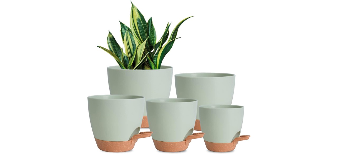 Five light green planters in varying sizes.