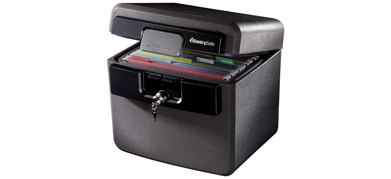 SentrySafe Black Fireproof and Waterproof Safe, File Folder and Document Box