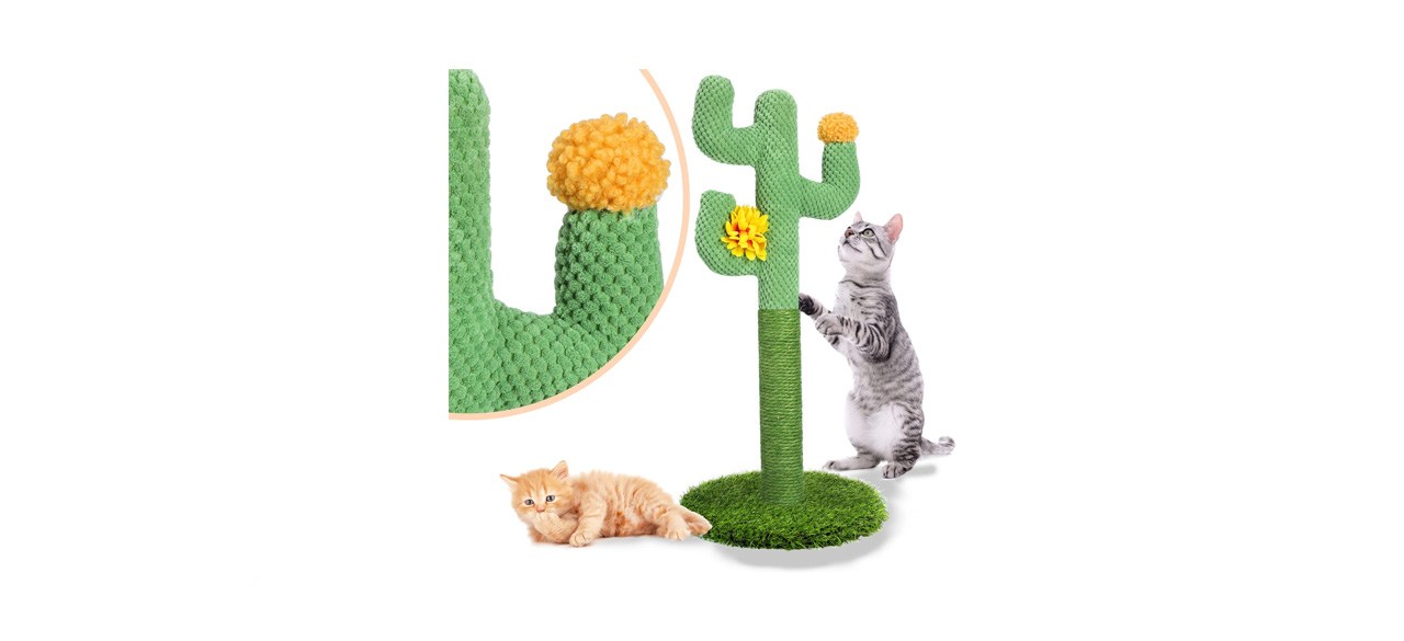 best ShellKingdom Cactus Cat Scratching Post