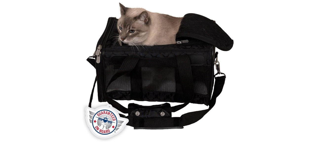 Top Pet Carriers for Cats Revealed: A Guide to the Best Options Available