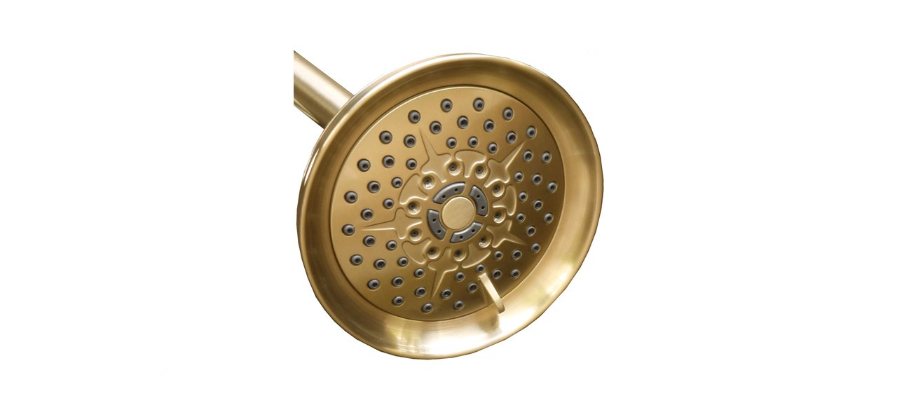 best ShowerMaxx Luxury Spa Series 6-Spray Showerhead