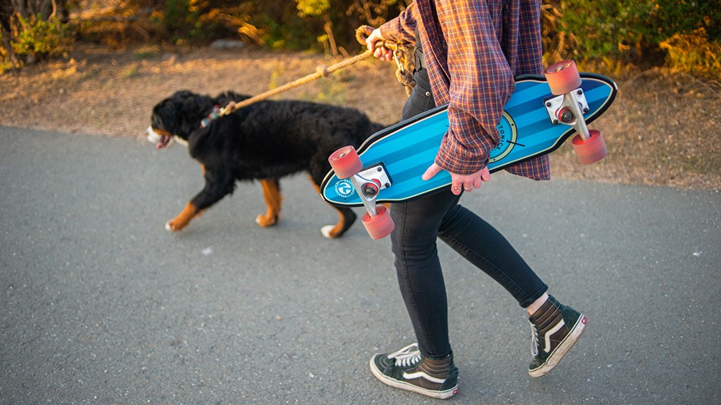 Best skateboard rack