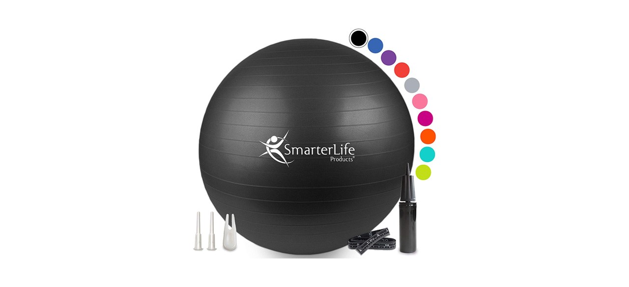 SmarterLife Products Exercise Ball