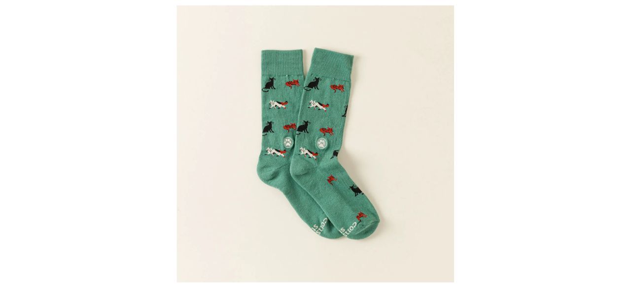 Socks That Save Cats