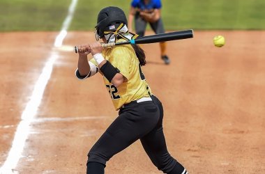 Best softball bat