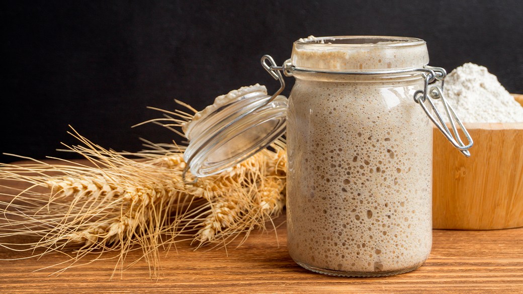 Best sourdough starter
