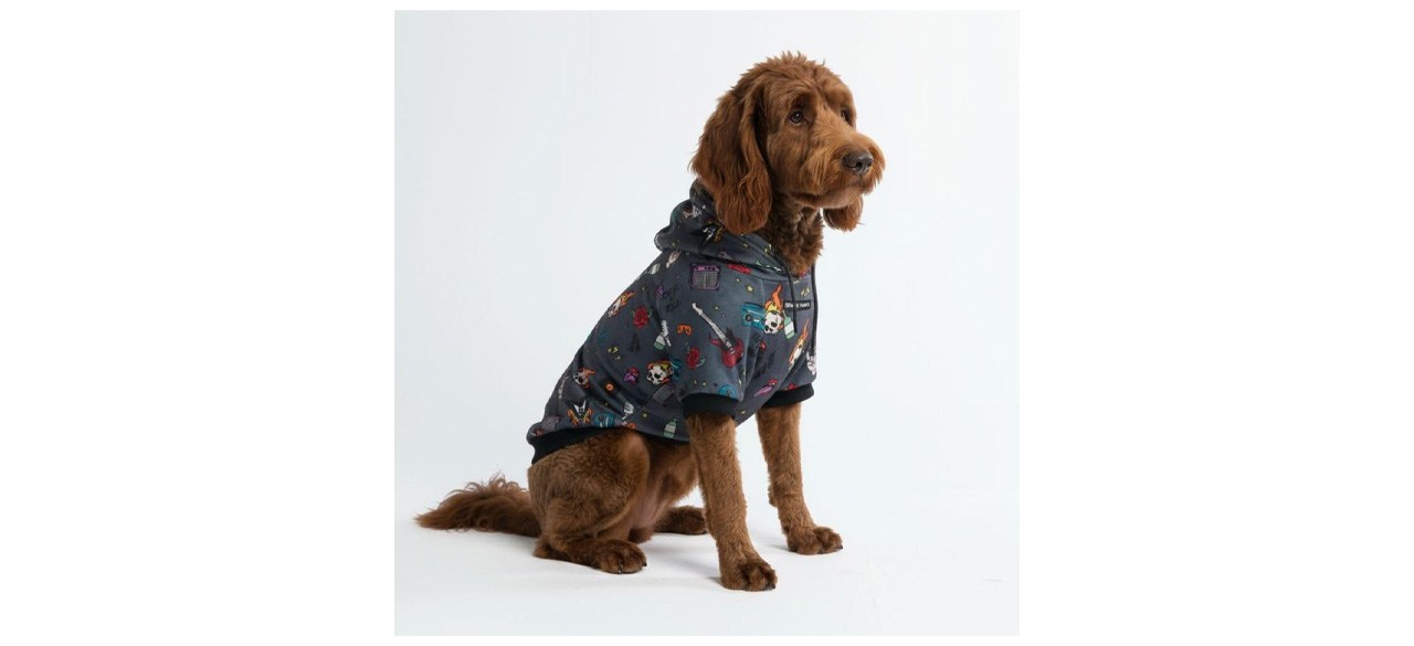 Spark Paws Dog Hoodie
