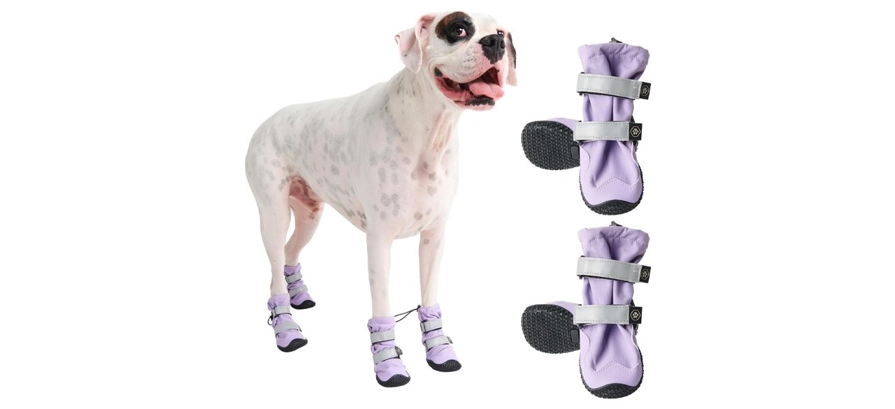 Spark Paws Flex Shell Water-Resistant Dog Boots