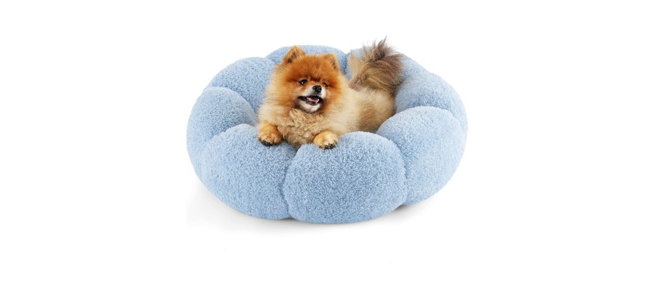 Le Sure Calming Small Dog Bed