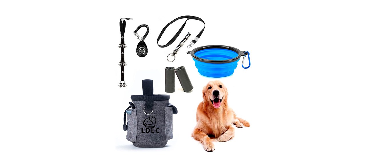 Best Ssriver Puppy Training Kit