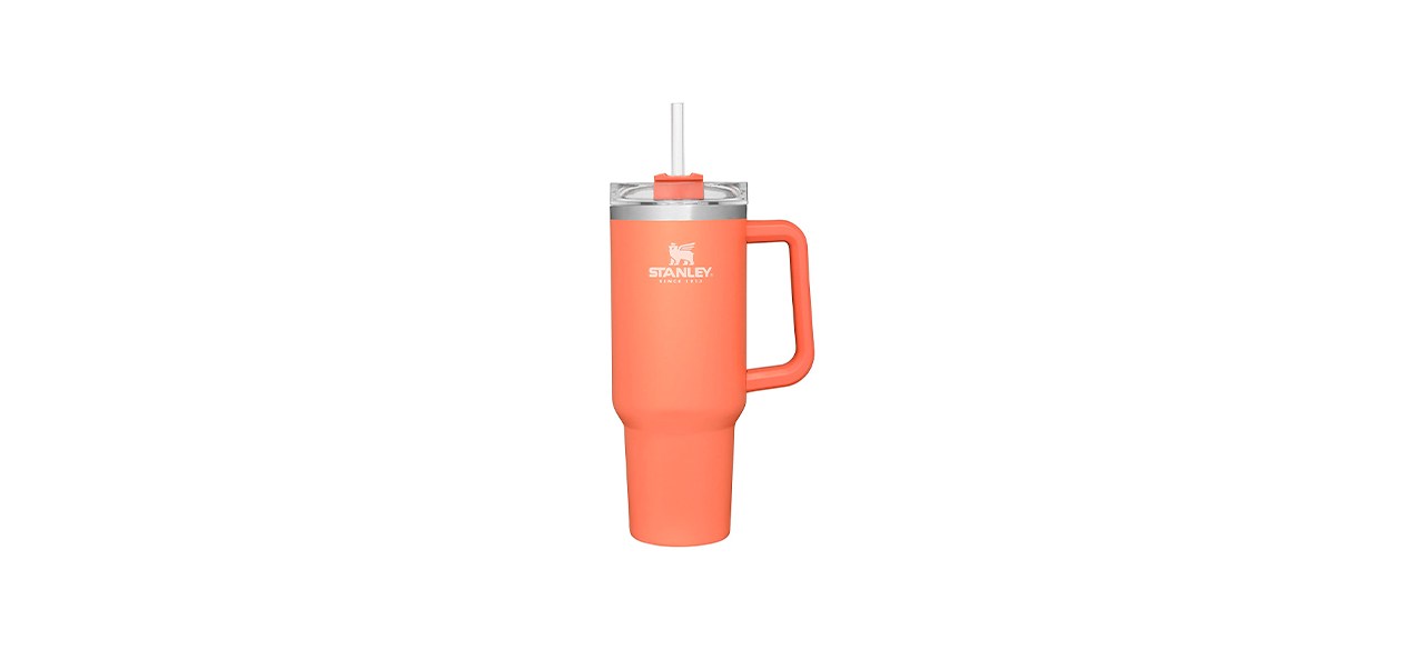 Best Stanley Adventure Quencher Tumbler