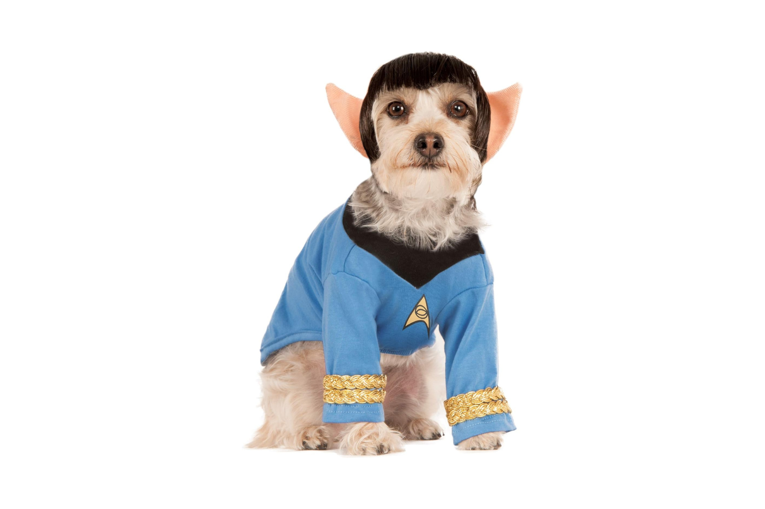 Best Rubie's Star Trek Spock Dog Costume