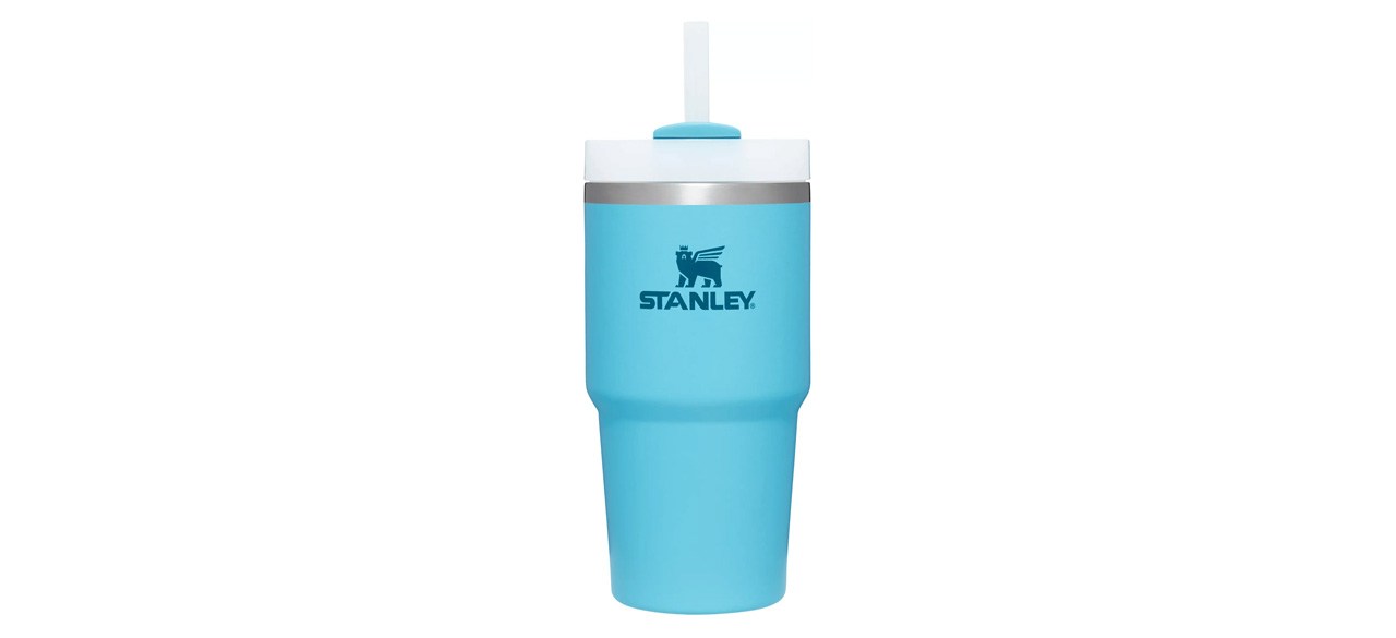 Best Stanley Quencher H2.0 Flowstate Tumbler - 20-ounce