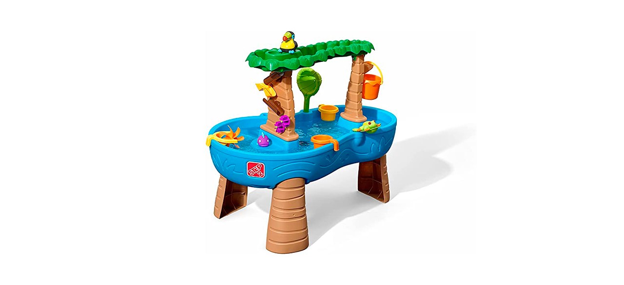 Best Step 2 Tropical Rainforest Water Table