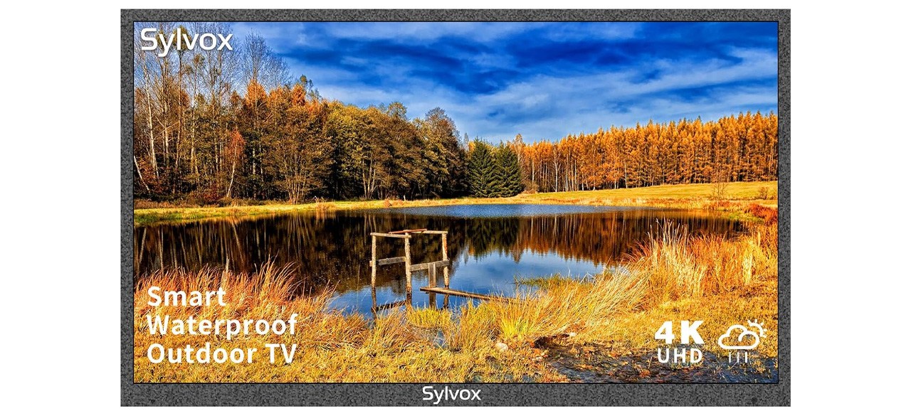 SYLVOX 43” Outdoor Smart TV