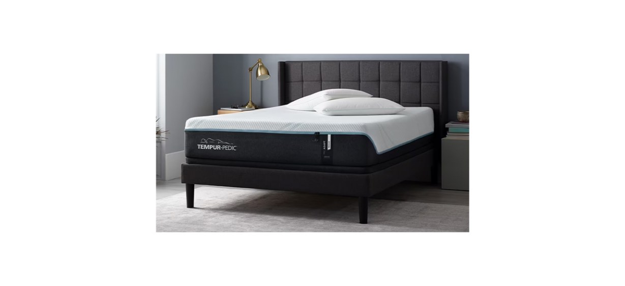 Best Tempur-Pedic TEMPUR-Adapt