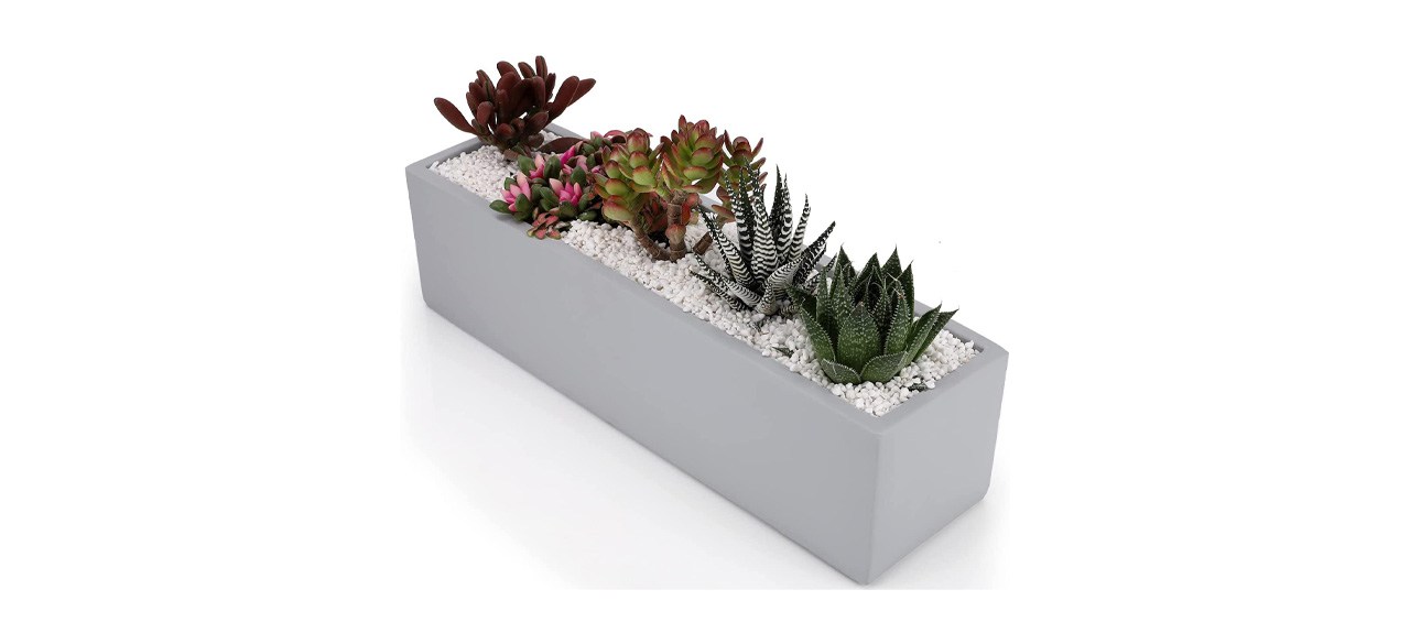 Best Ten-stone 15-Inch Rectangular Cement Planter