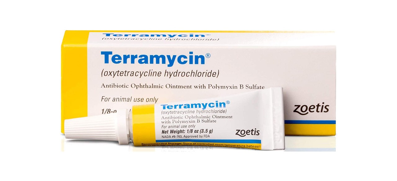 Best Terramycin Ophthalmic Ointment for Dogs and Cats