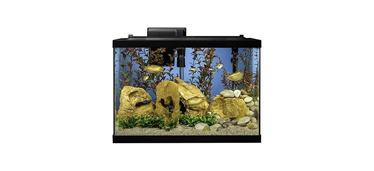 best Tetra Aquarium 20 Gallon Fish Tank Kit