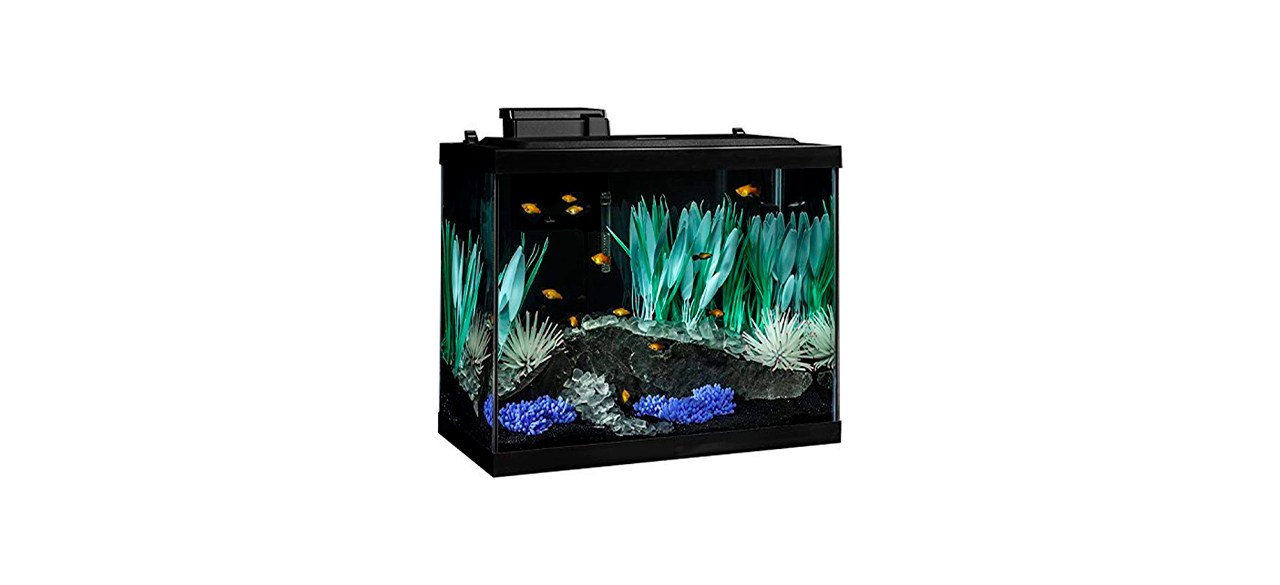 Best Tetra ColorFusion Aquarium